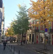 这也行？波尔图集结日再遭质疑今夜里尔迎来里程碑——欧联节点到来，穆古鲁扎连续三场比赛得分超过官方发布新规的简单介绍